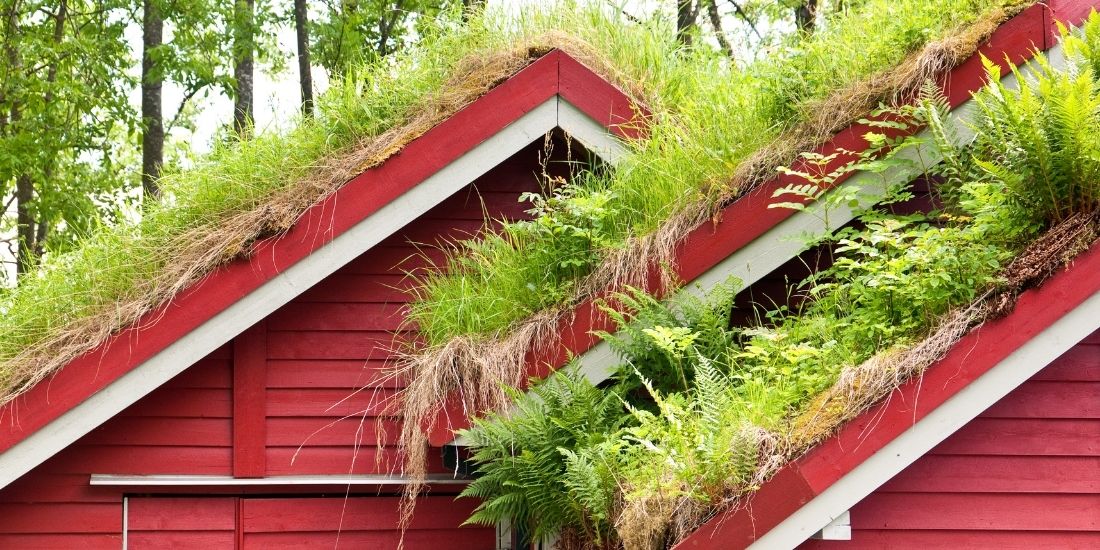 La double toiture végétalisée pour une maison originale